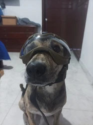 Imagen de reseña 1