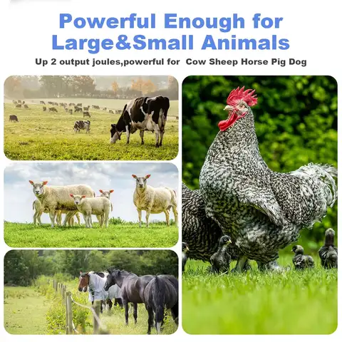 10 किमी इलेक्ट्रिक शेफर्ड, इलेक्ट्रिक बाड़ नियंत्रक, इलेक्ट्रिक बाड़ शेफर्ड पशु पशुधन 8 best sales इलेक्ट्रिक शेफर्ड - №2