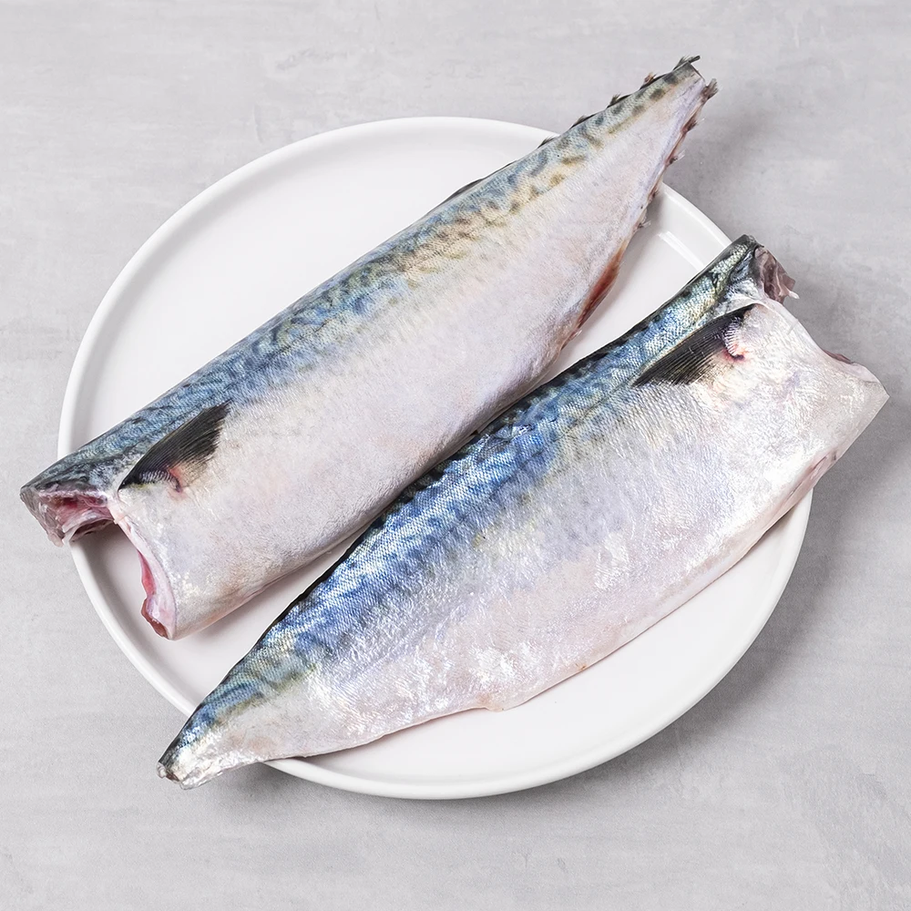 Clean Norwegian groomed mackerels large 160g ~ 180gX10 pack/big size low salt mackerels fillet