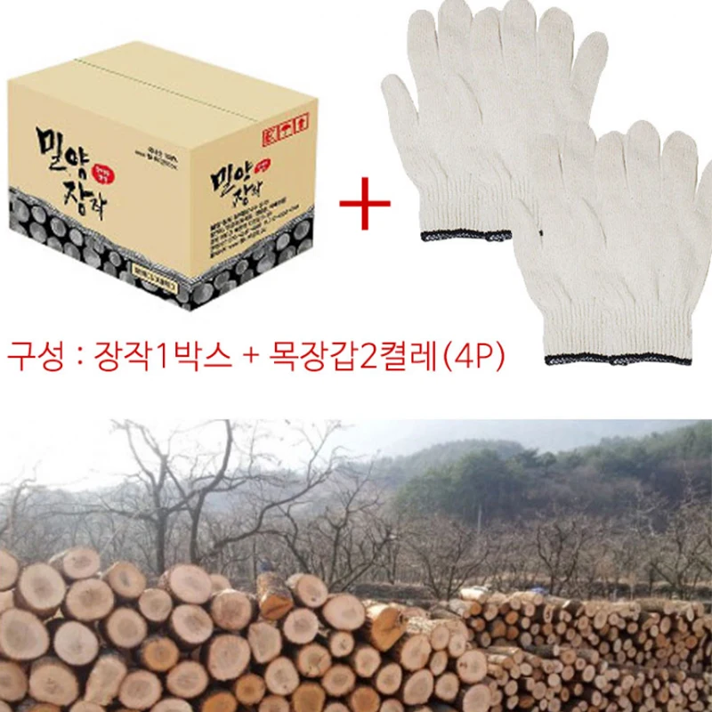 Domestic camping oak wood burning fire fire fire general set