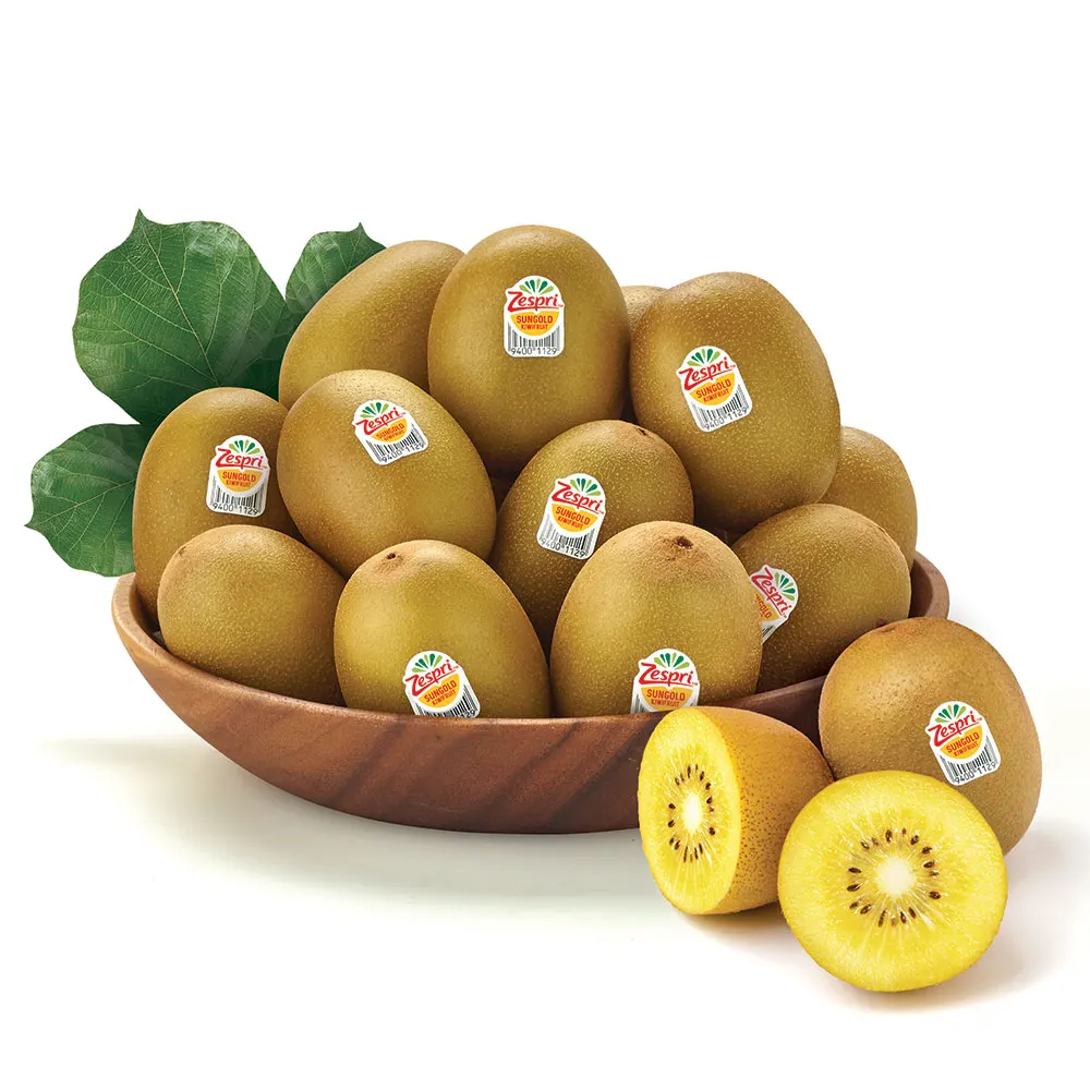 [Turtle Farm] New Zealand Gess-free Gold Kiwi