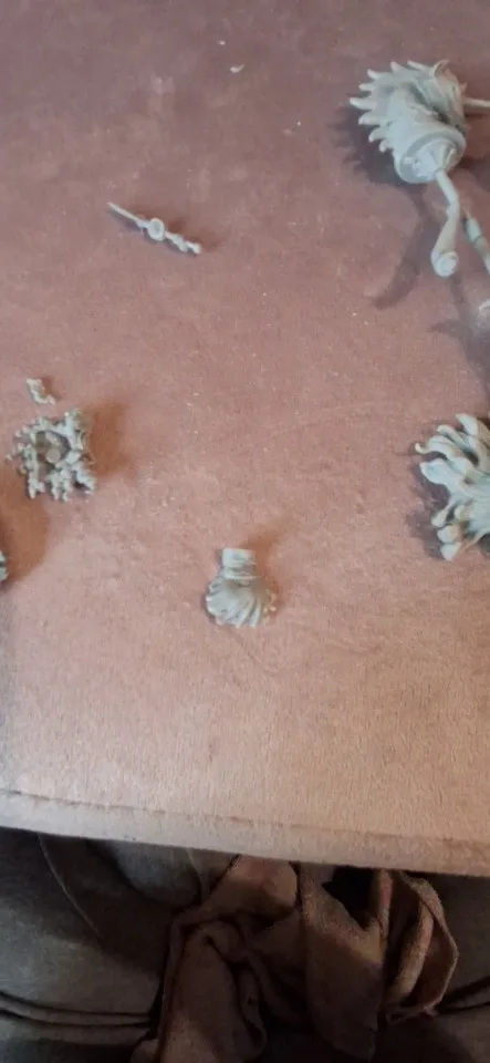 Buyer photo of this resin kit
