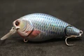 HC25X447