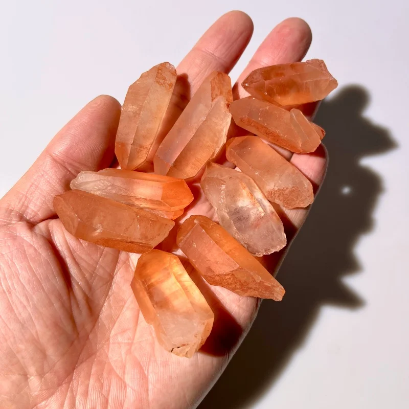 10Pcs Natural Red C… - image