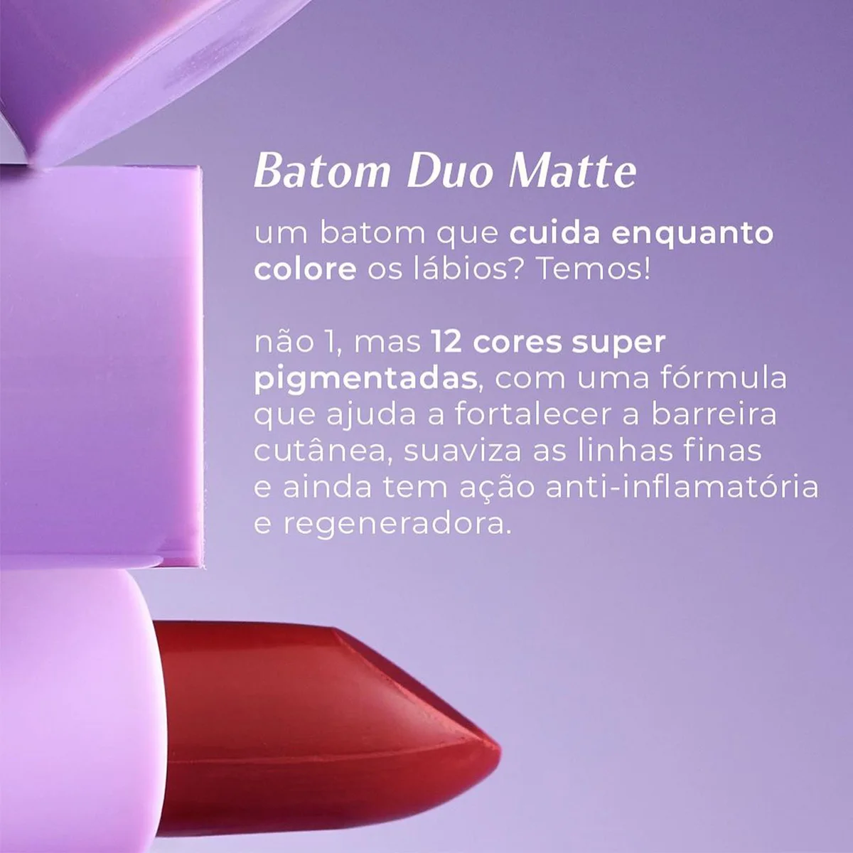 Duo Matte Mood Lipstick-Ruby Rose