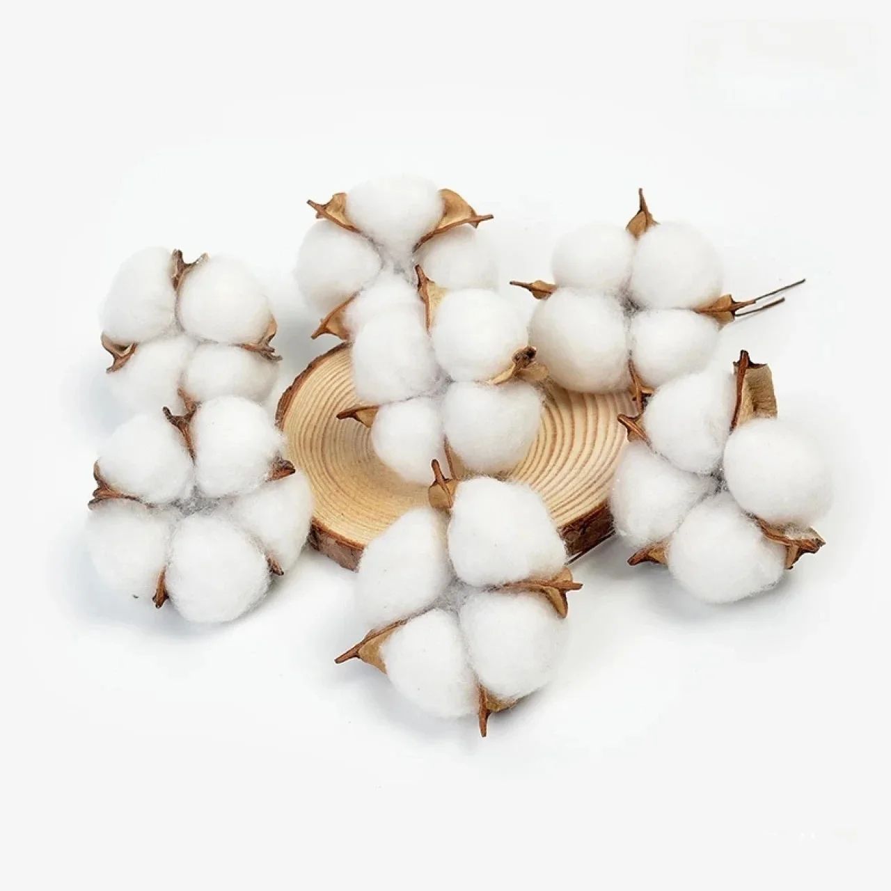 Kapok artificiel en coton sec, Branches de fleurs séchées, Bouquet de fleurs, ornement de gâteau, accessoires de noël