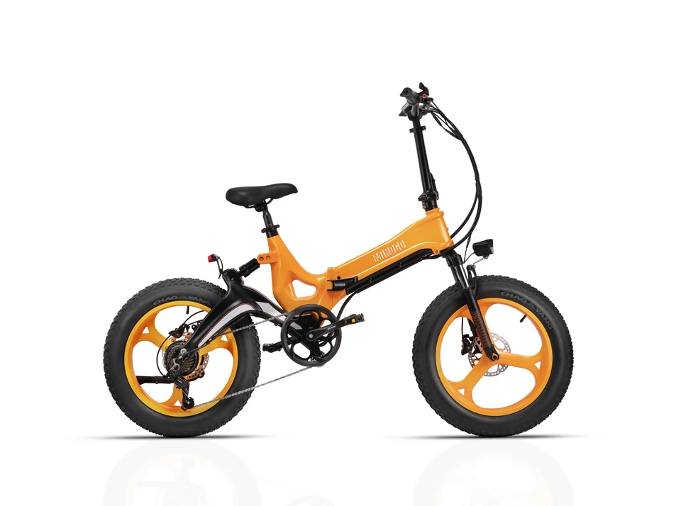 MIHOGO NX max Adult Electric Bicycle, 750W city ebike, 48V 12.8AH E-bike, 20-Fat Tire Foldable Electric Bike