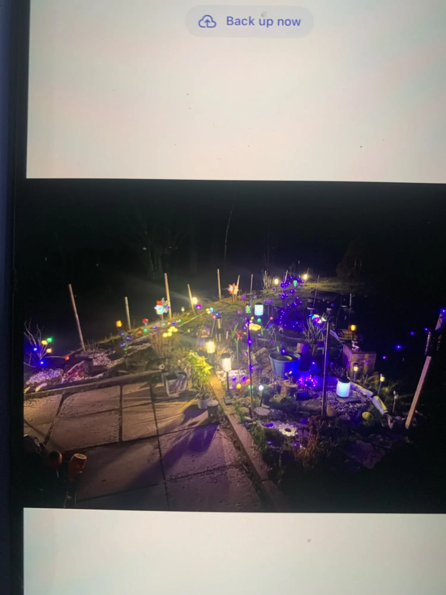 Customer review photo