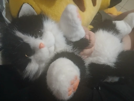 리뷰 사진