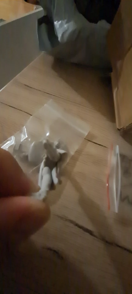 Buyer photo of this resin kit