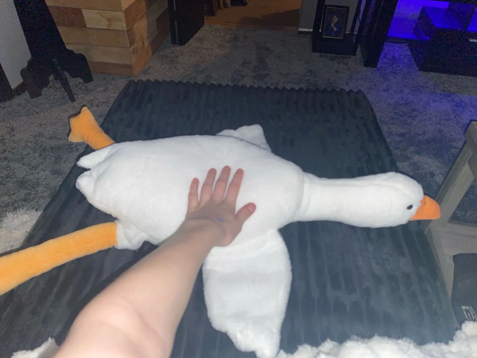 Customer review photo