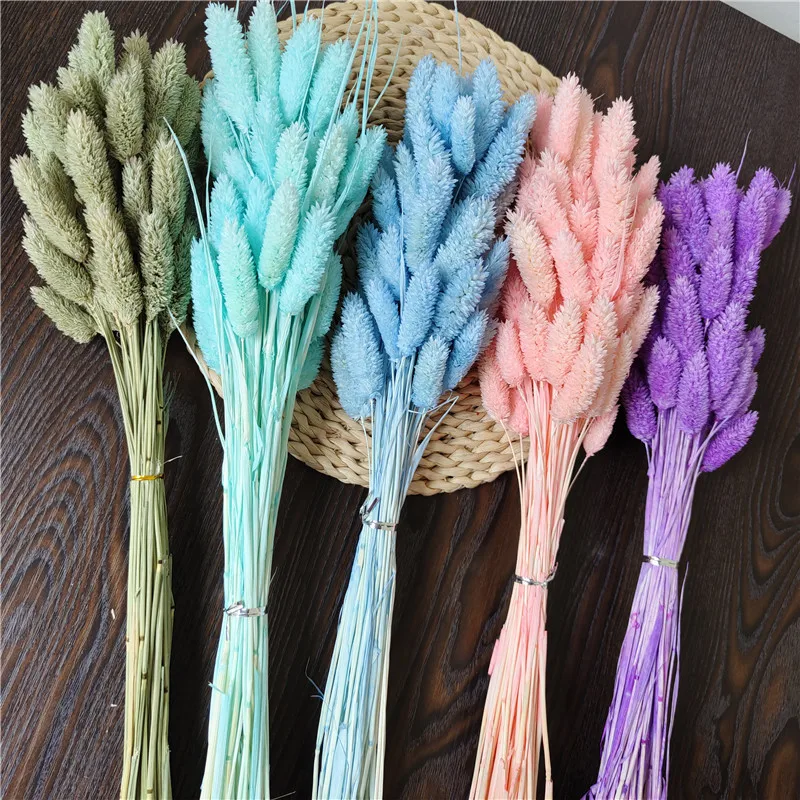 

10Pcs Dried Natural Flowers Reed Beauty Grass Bunch Real Flower Bouquet Trockenblumen Pampas Grass Family Wedding Decoration