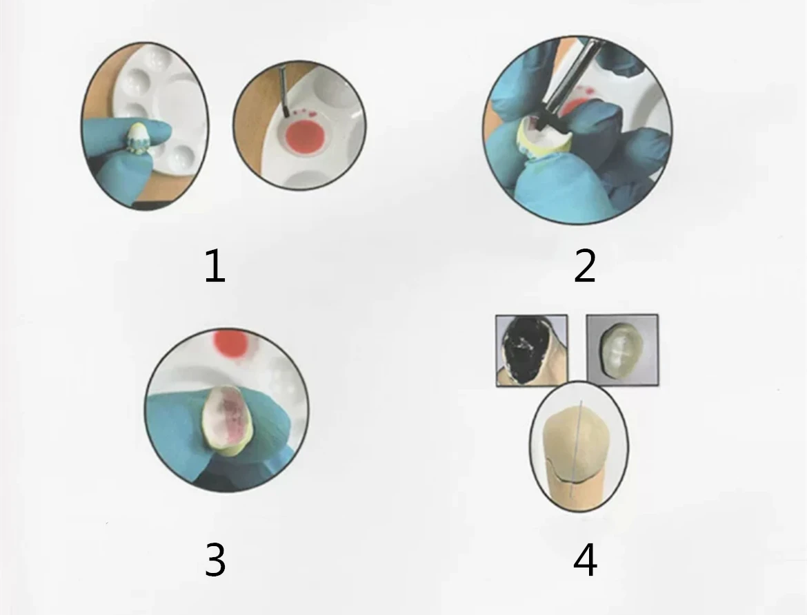 20ML Dental Implanted Teeth Implant Inner Crown Coloring Various Liquid For Zirconia Crown