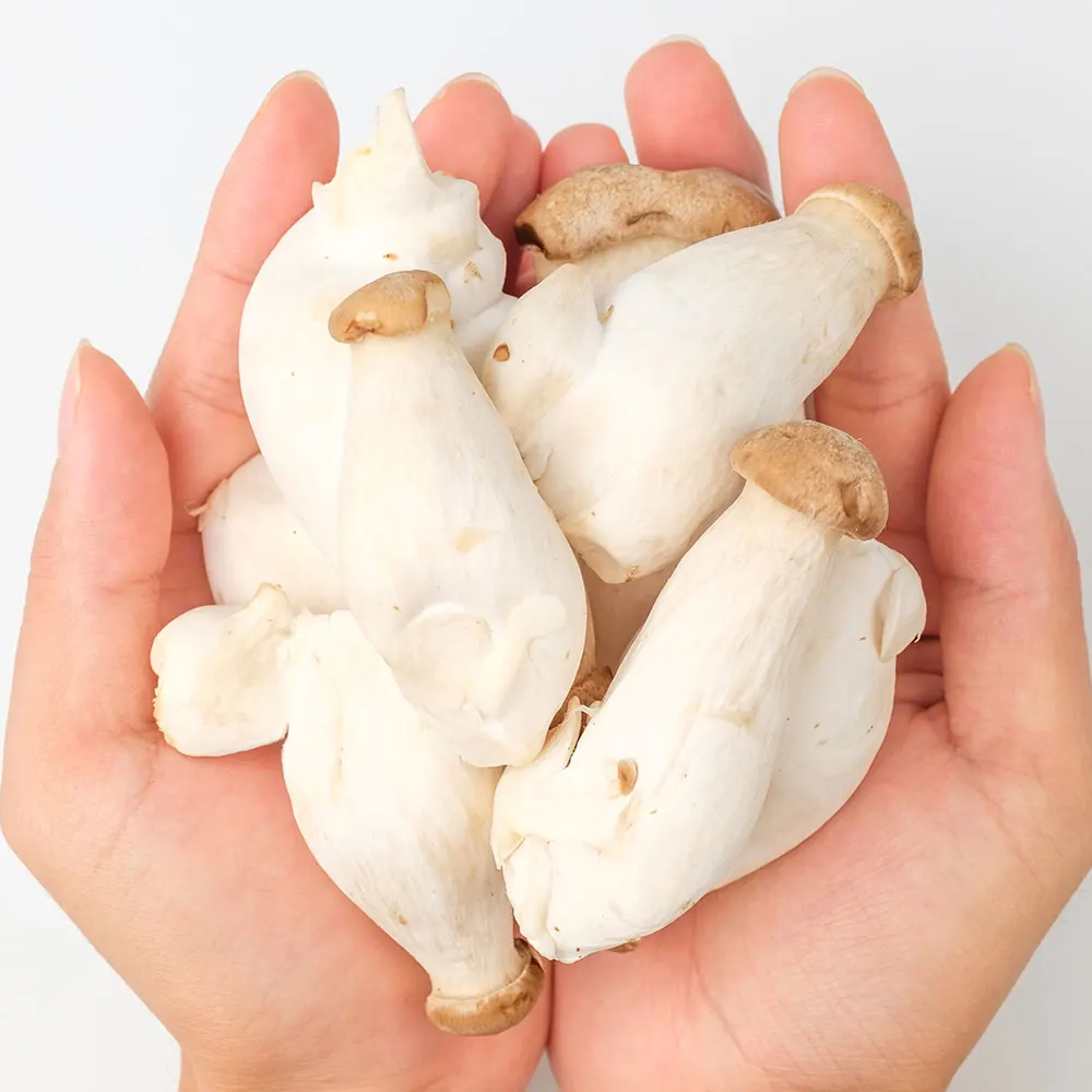 [Sansan village] Domestic mini bird mushrooms 2kg Little Bird