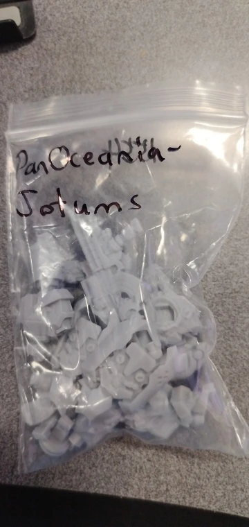 Buyer photo of this resin kit