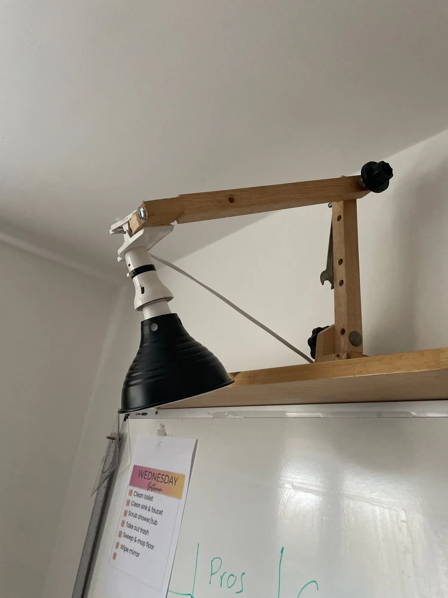 Customer review photo for Aluminum Reptile Heat Lamp Fixture – Deep Dome Basking Reflector