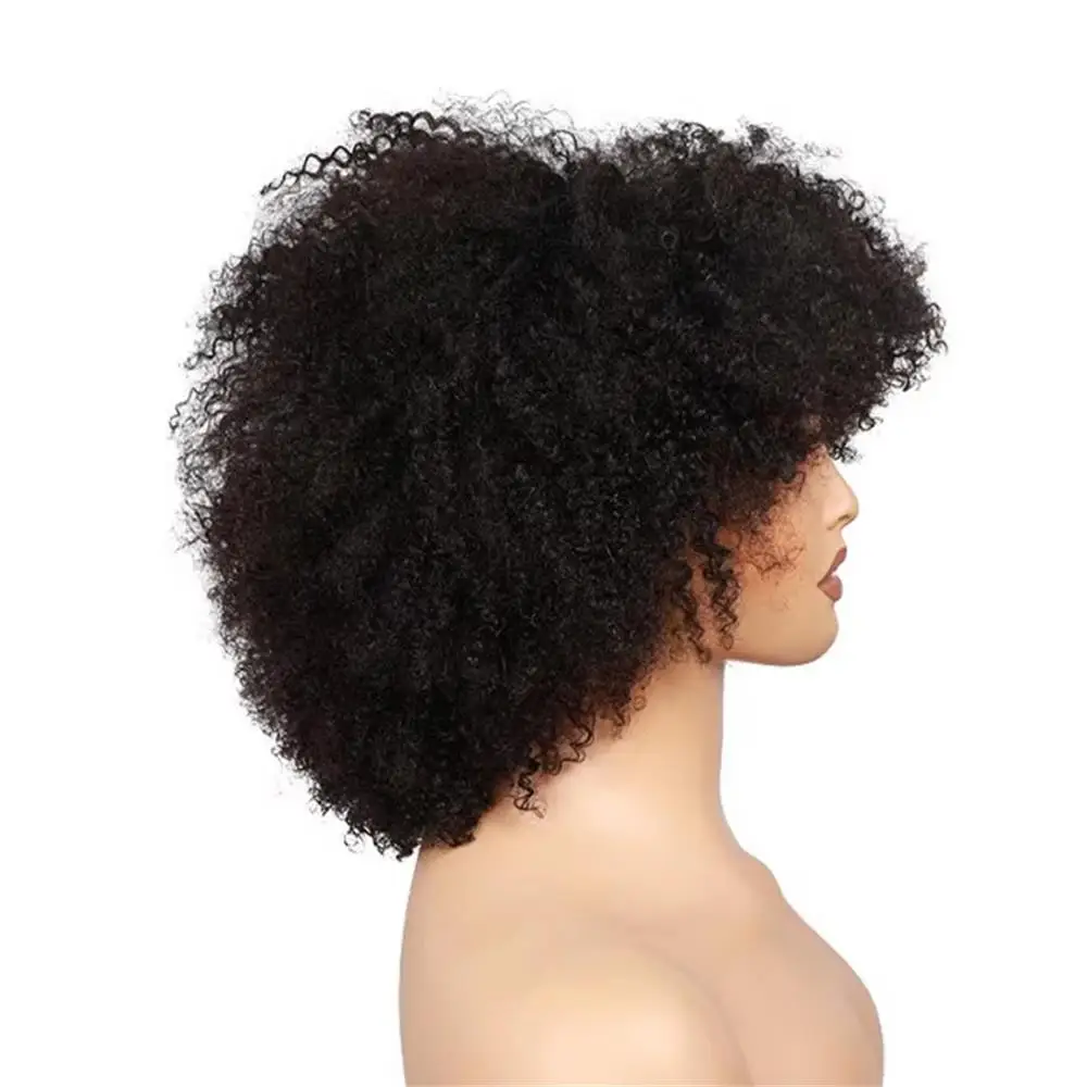 Afro Kinky Curly 100% Echthaar 250% Dichte Vollmaschinenperücke Brasilianisches Jungfrauenhaar Perücke für Frauen Weich und Seidig – Detail 5