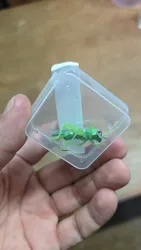 Imagen de reseña 1