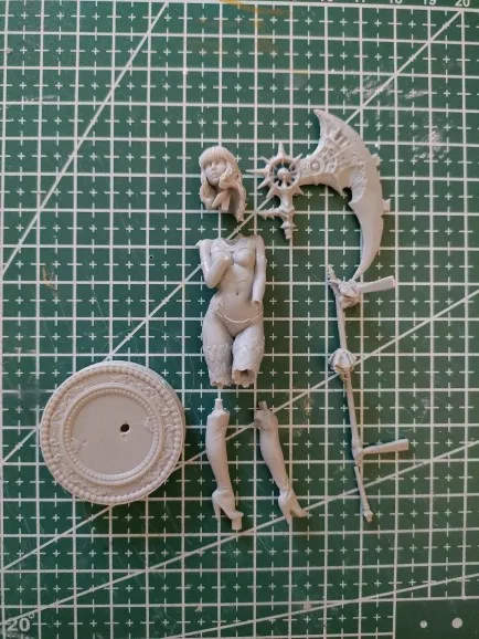 Buyer photo of this resin kit