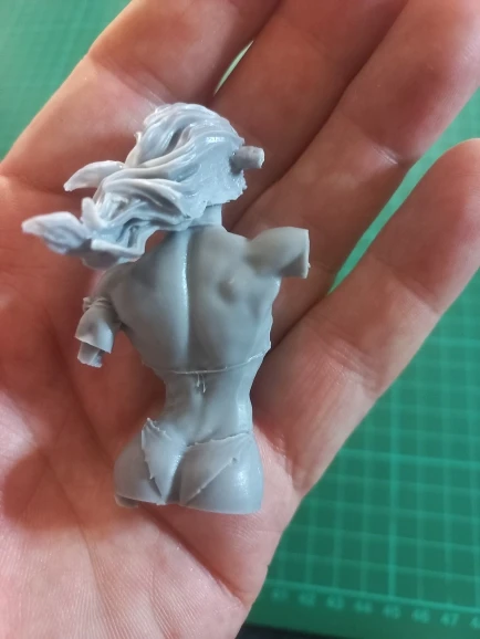 Buyer photo of this resin kit