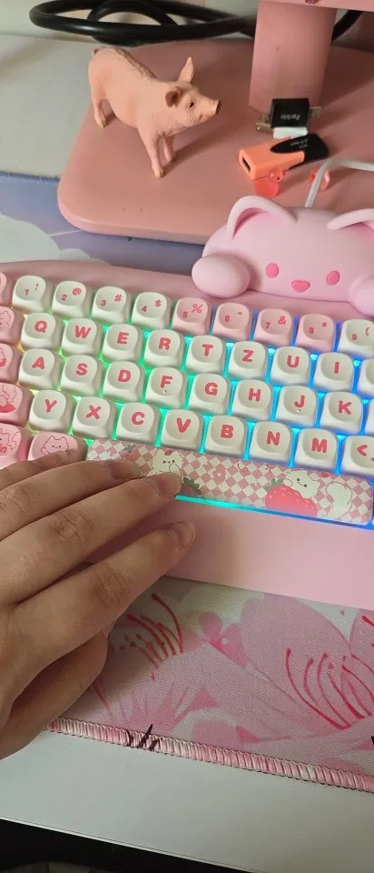 실물 포토 리뷰