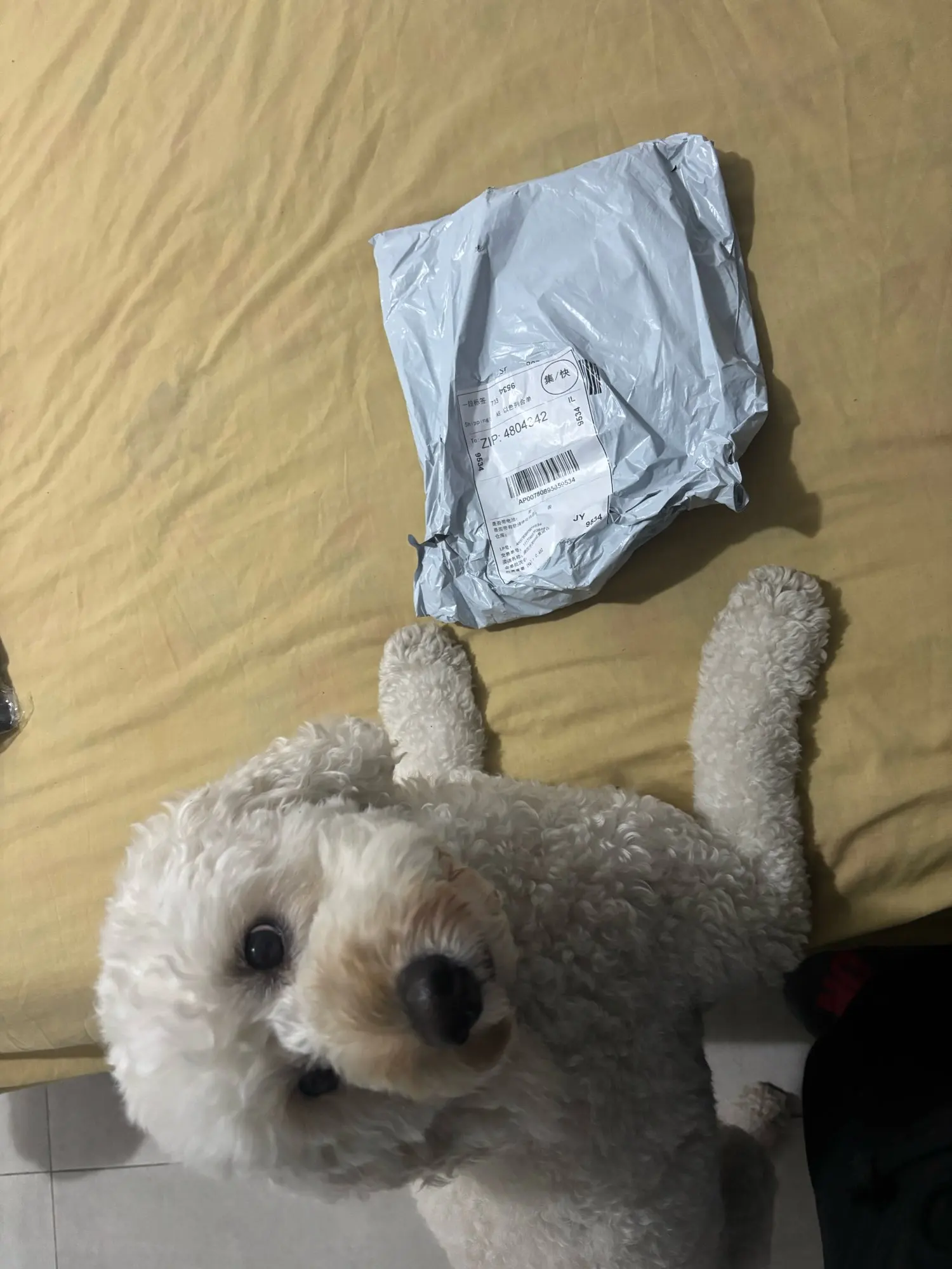 구매후기