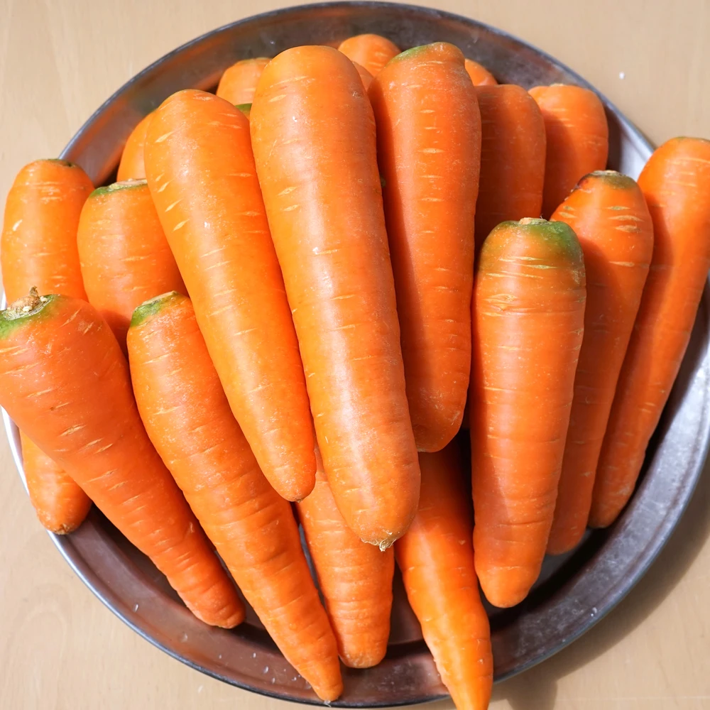 Fresh and clean washed carrots around 5kg