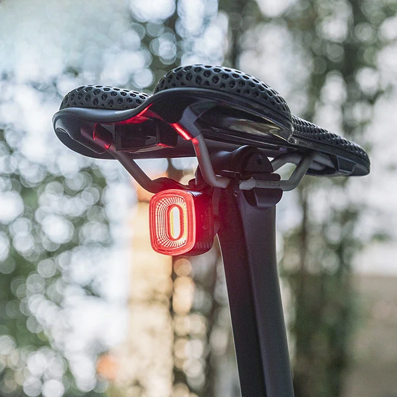 AliExpress ROCKBROS Smart Bicycle Tail Rear Light Auto Stop Brake IPX6 Waterproof Type-C Charge Cycling Tail Taillight Bike LED Lights