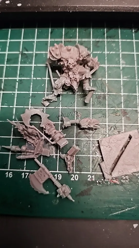 Buyer photo of this resin kit