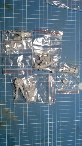 Buyer photo of this resin kit