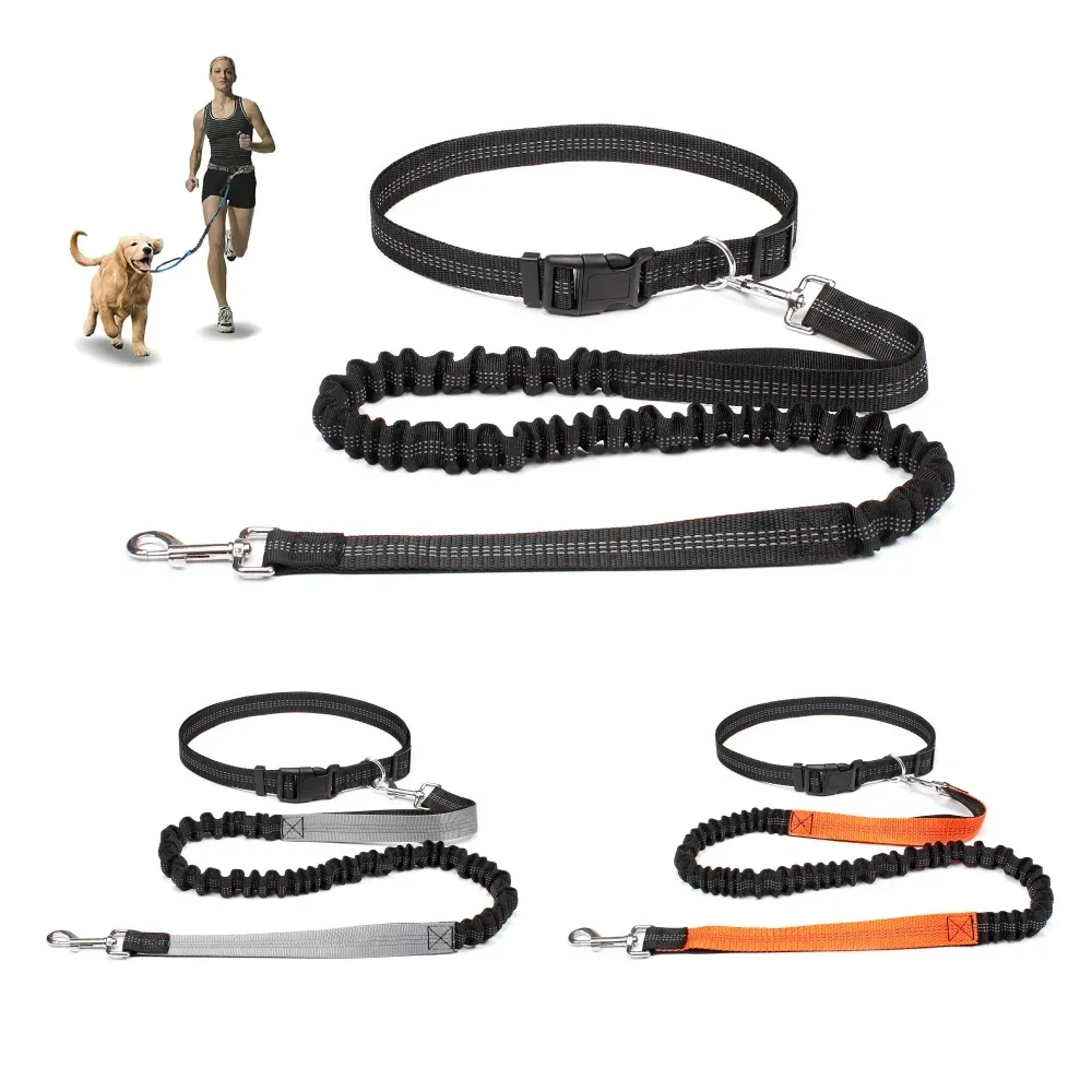Laisse de chien mains libres pour animaux de compagnie marche course Jogging laisse de chien réglable ceinture de taille sangle de poitrine corde de Traction accessoires pour chiens