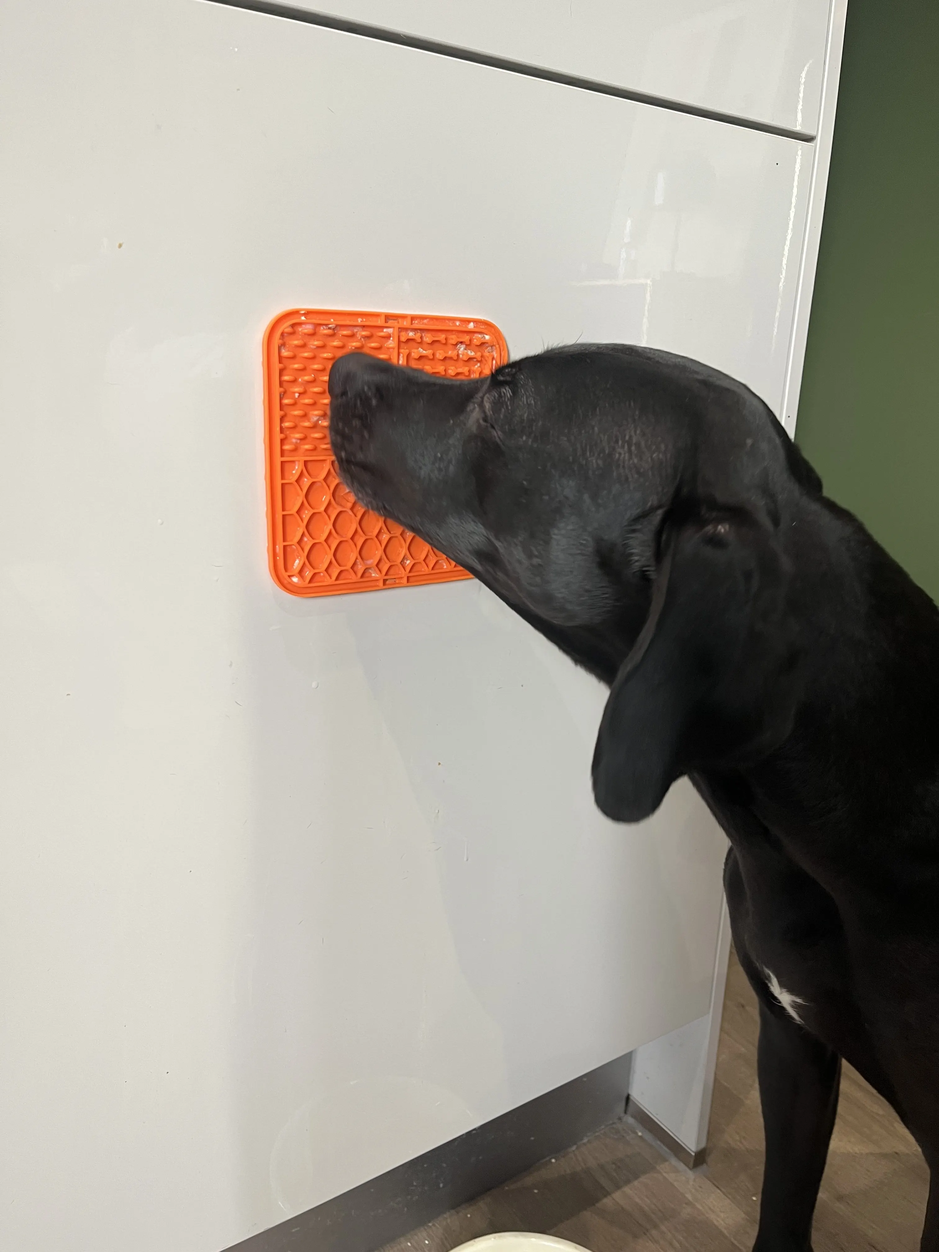 Customer review photo for Dog Lick Mat with Suction Cups