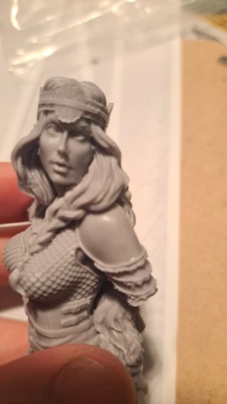 Buyer photo of this resin kit