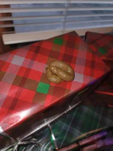 실물 포토 리뷰