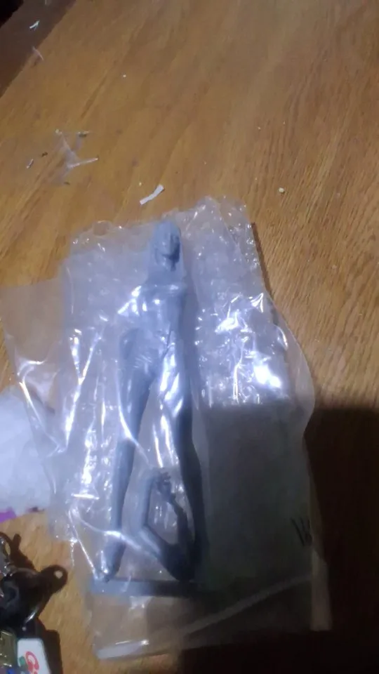 Buyer photo of this resin kit