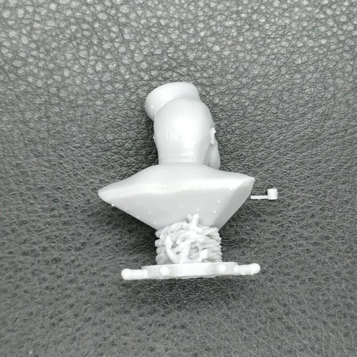 Buyer photo of this resin kit