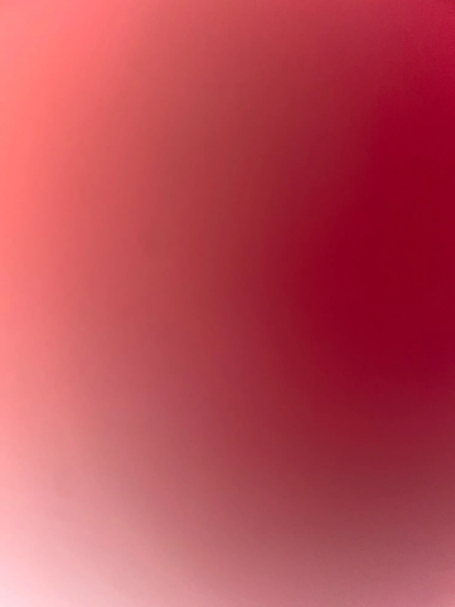 실물 포토 리뷰