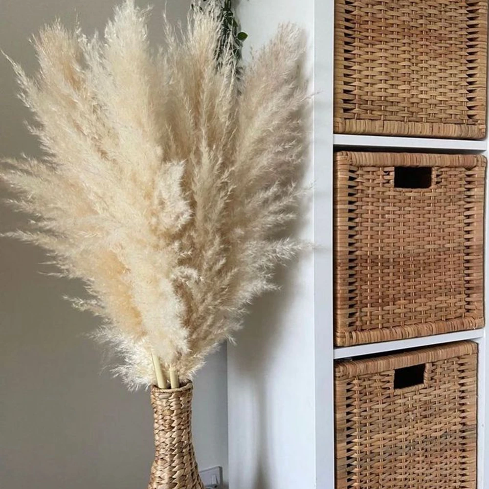 80cm Living Room Large Pampas Decor Natural Dried Pampas Grass Fluffy Pampas Bouquet Boho Long Dried Flowers Wedding Arch Decor