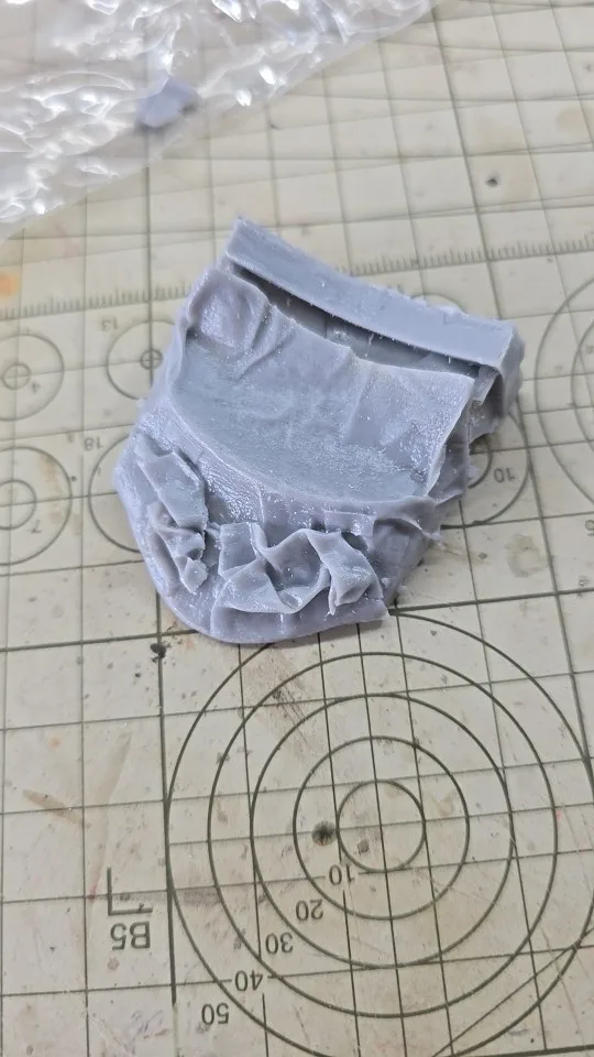 Buyer photo of this resin kit