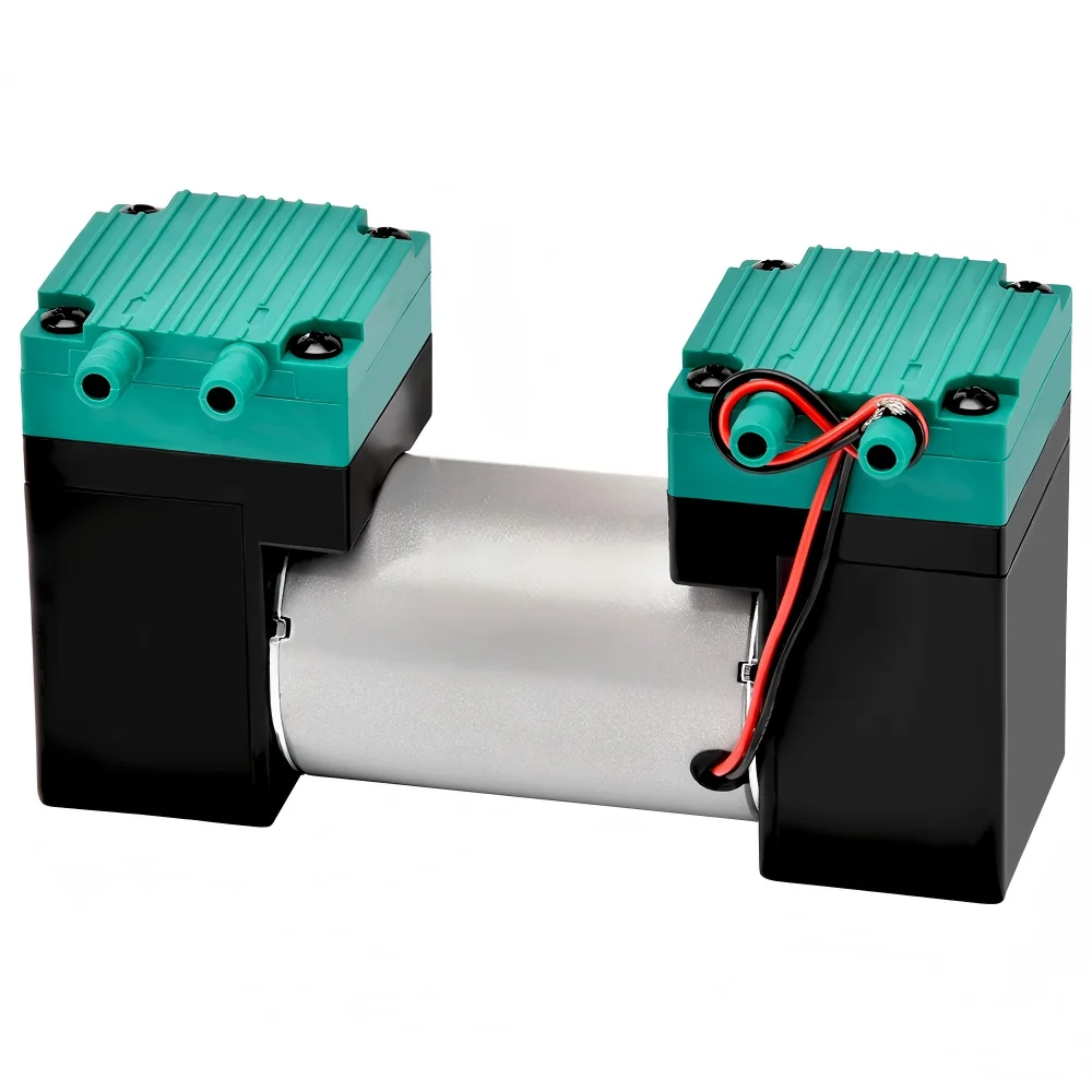 

Small Air DC 12V/24V/220V 20L/min Double Head Negative Pressure Diaphragm Vacuum Pump for Food Packing