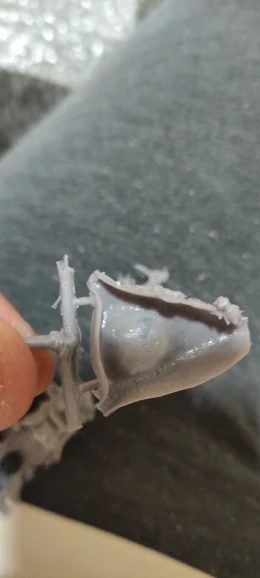 Buyer photo of this resin kit