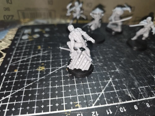 Buyer photo of this resin kit