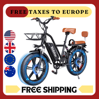 Ridstar FM-001 Electric Bicycle 1000W 48V 15AH Road City Ebike for Adult 20Inch Fat Tire Beach Mountain With Backseat Cycling