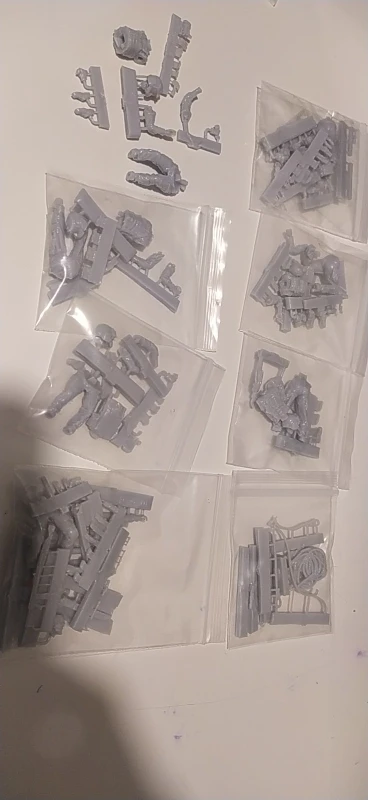 Buyer photo of this resin kit