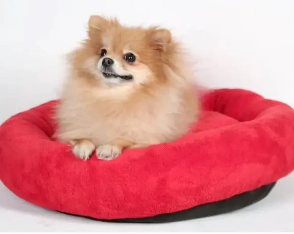 Cojín de felpa suave para gato, cama cómoda para perro, de alta calidad