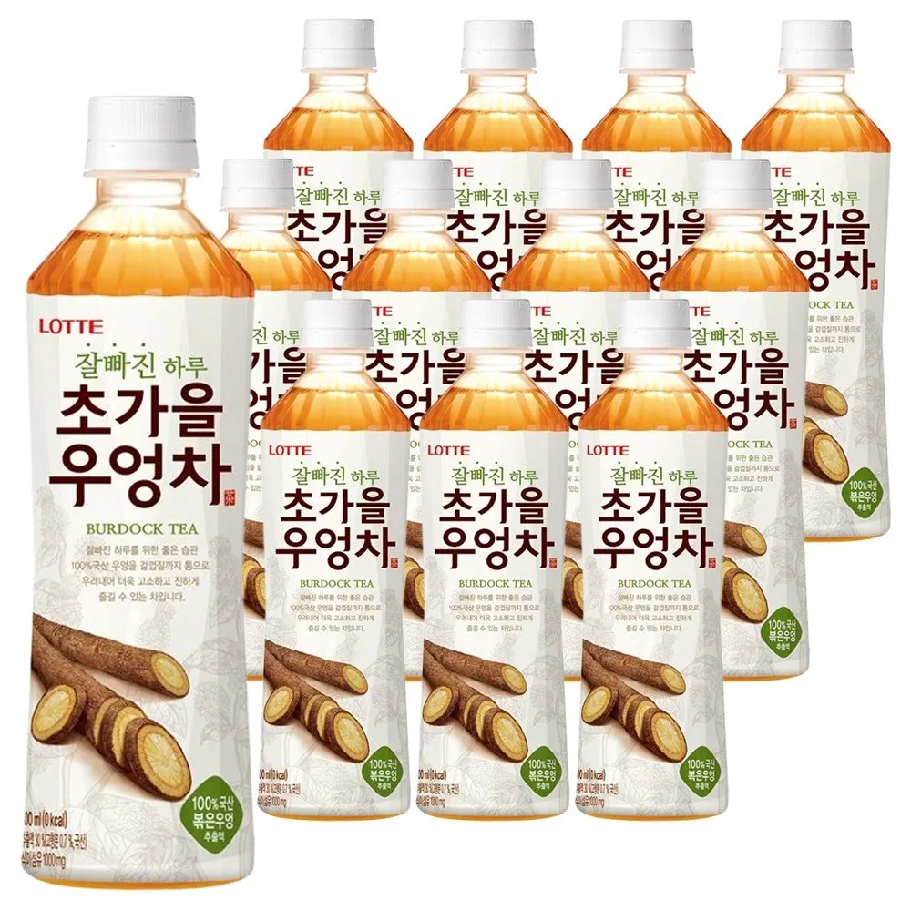 Lotte early autumn burdock tea 500ml x 12PET