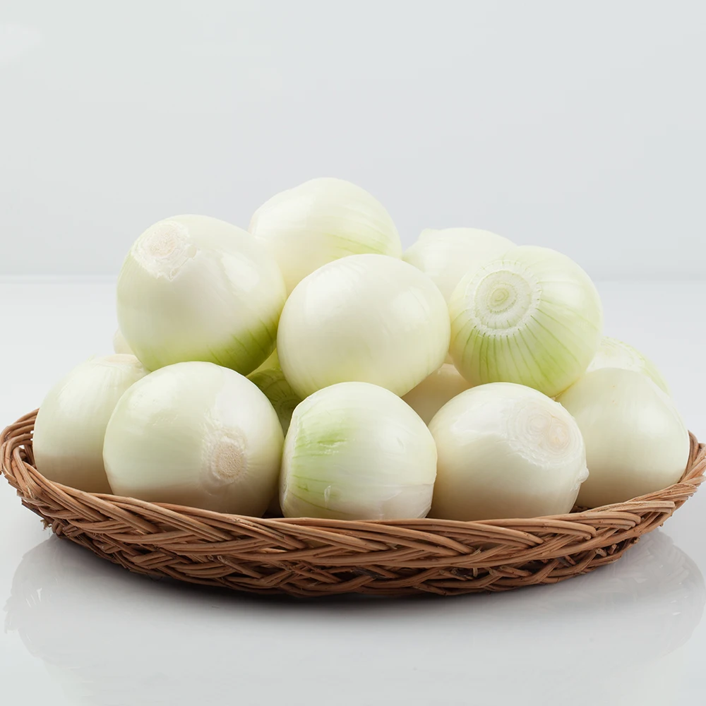 국내산 24년 햇양파 단단한 양파 중/소 혼합 2.5kg 5kg 10kg