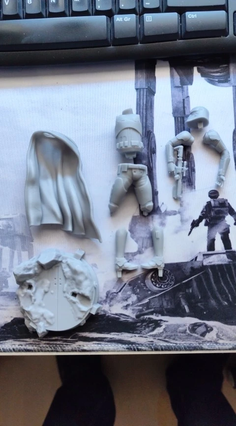Buyer photo of this resin kit