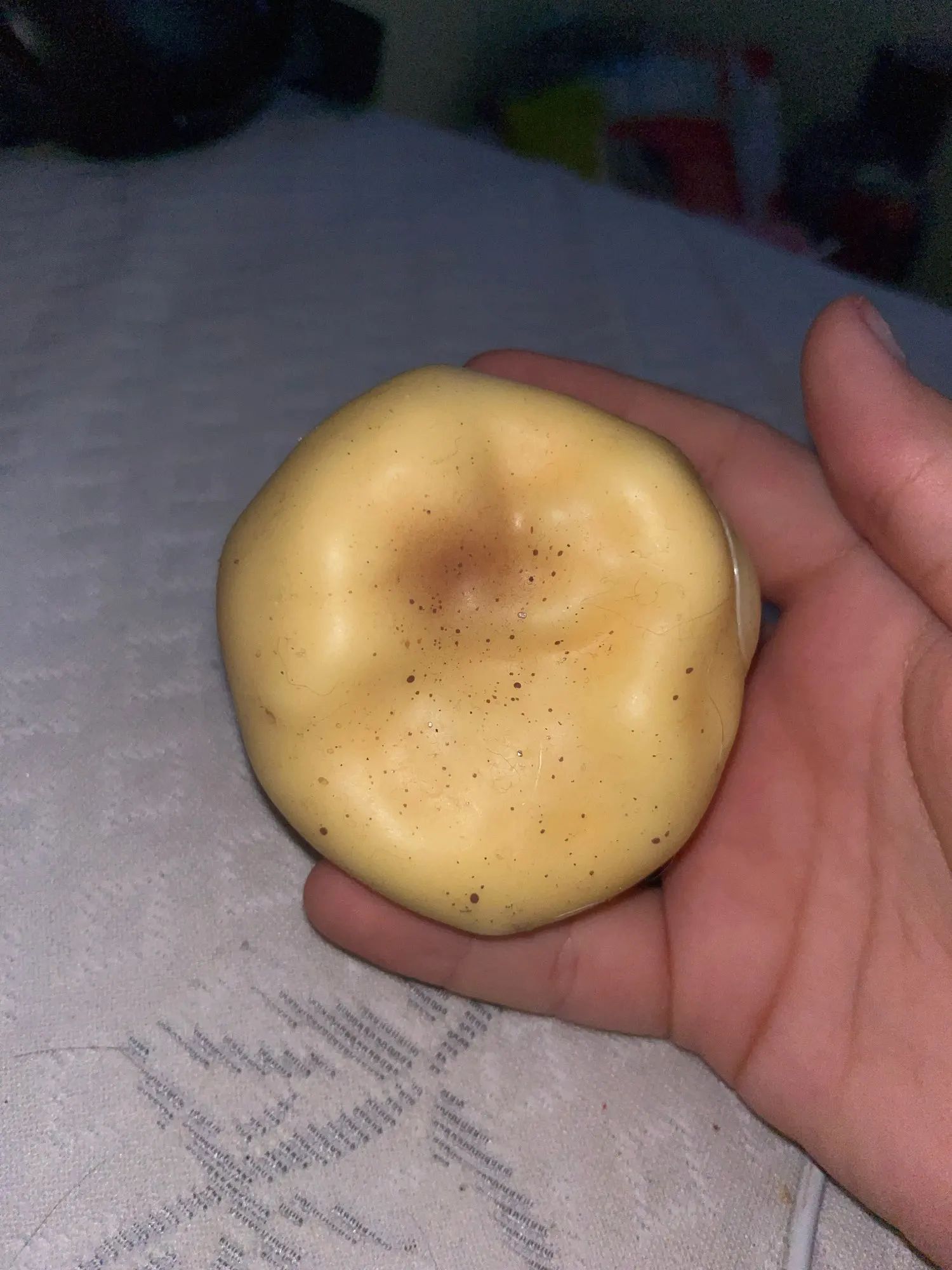 실물 포토 리뷰