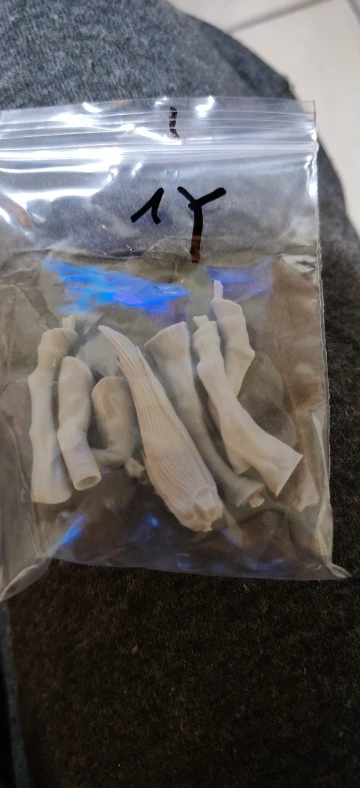 Buyer photo of this resin kit